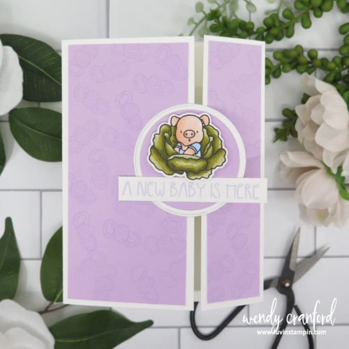 Easy-fold-card-technique-Offset-Gate-fold-baby-card-made-with-Picket-Fence-Big-Piggie-Hugs